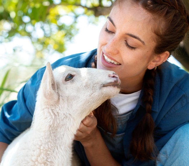 Denizay Sigorta | Hizmet - Hayvan Hayat Sigortası